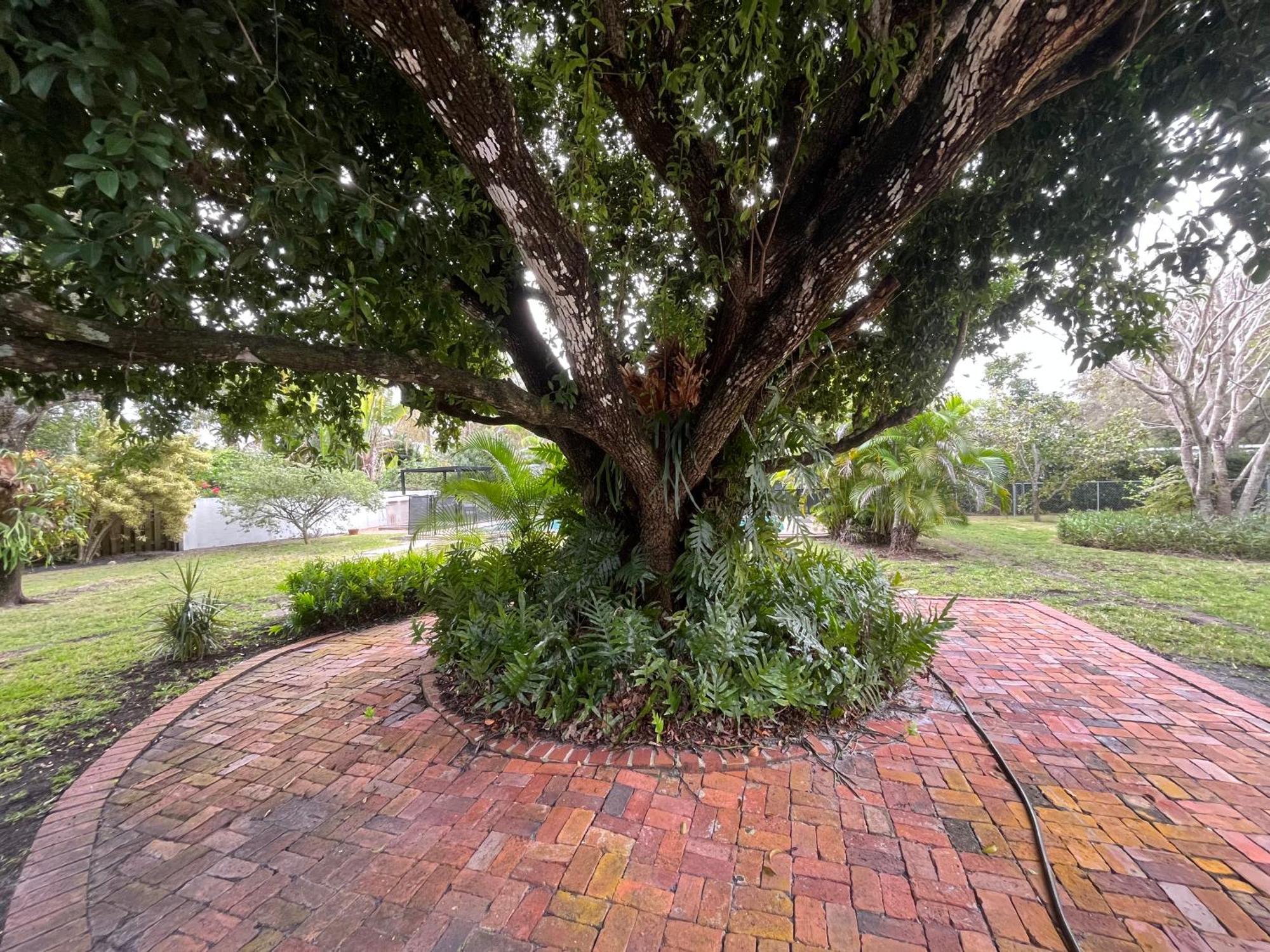 Family 4br Near Dadeland Mall Ferienhaus